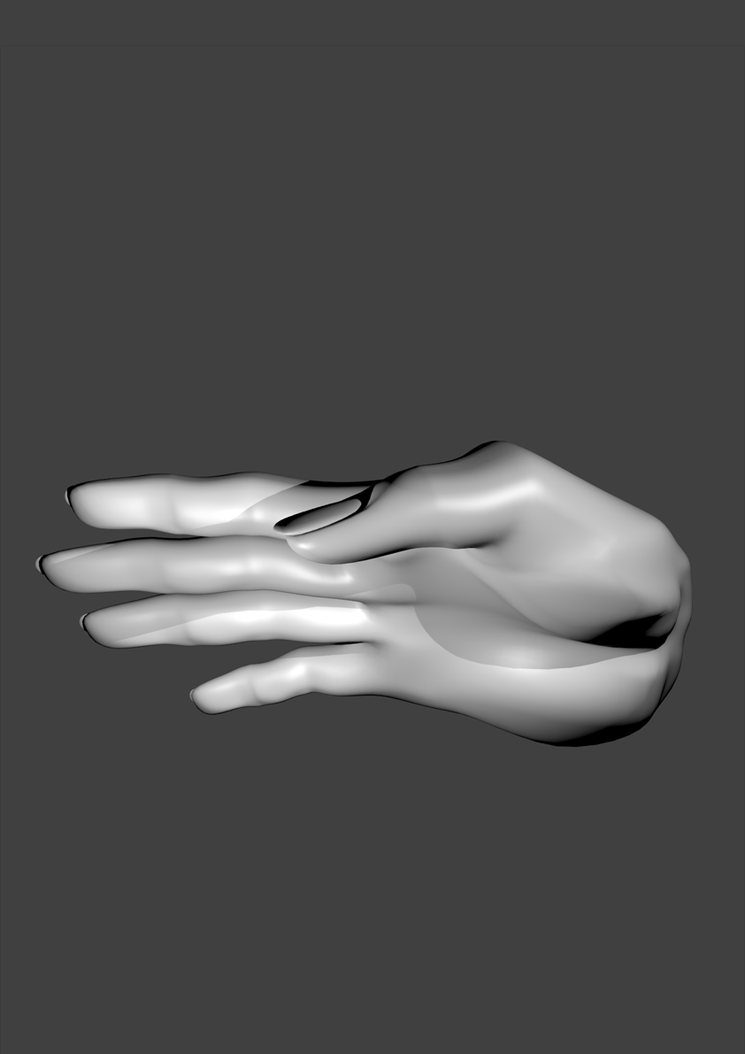 3D Modell Hand Seite Bild