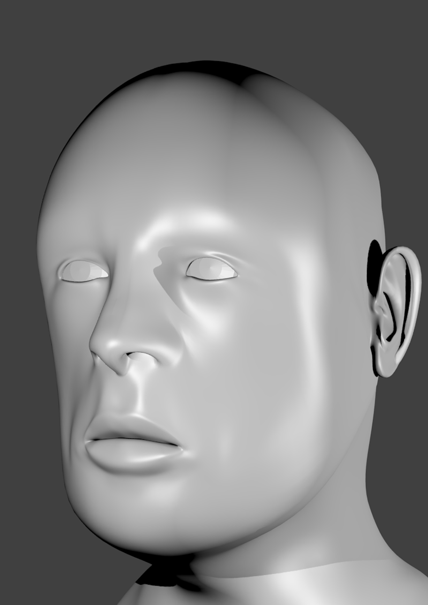 3D Modell Kopf Bild