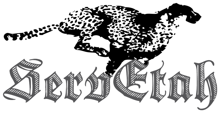 ServEtah Logo Bild